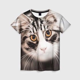 Женская футболка 3D с принтом Кот в Петрозаводске, 100% полиэфир ( синтетическое хлопкоподобное полотно) | прямой крой, круглый вырез горловины, длина до линии бедер | домашняя | животное | кот | котэ | кошка