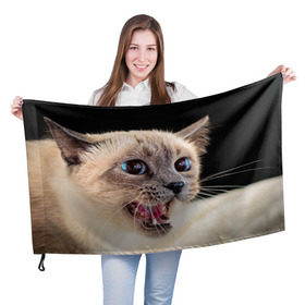 Флаг 3D с принтом Кот в Петрозаводске, 100% полиэстер | плотность ткани — 95 г/м2, размер — 67 х 109 см. Принт наносится с одной стороны | Тематика изображения на принте: домашняя | животное | кот | котэ | кошка