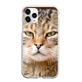 Чехол для iPhone 11 Pro матовый с принтом Кот в Петрозаводске, Силикон |  | дикий | животное | кот | котэ | кошка