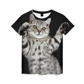 Женская футболка 3D с принтом Кот в Петрозаводске, 100% полиэфир ( синтетическое хлопкоподобное полотно) | прямой крой, круглый вырез горловины, длина до линии бедер | домашняя | животное | кот | котэ | кошка
