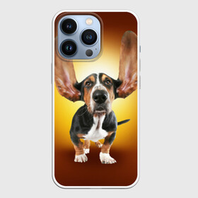 Чехол для iPhone 13 Pro с принтом Бассетхаунд в Петрозаводске,  |  | Тематика изображения на принте: бассетхаунд | ветер | музыка | наушники | собака | уши