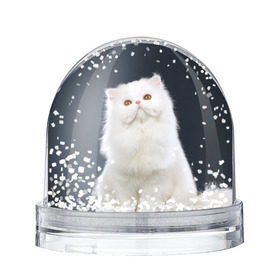 Водяной шар с принтом Кот в Петрозаводске, Пластик | Изображение внутри шара печатается на глянцевой фотобумаге с двух сторон | домашняя | животное | кот | котэ | кошка