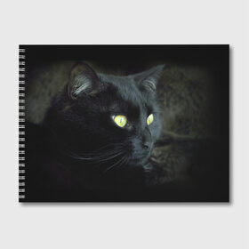 Альбом для рисования с принтом Черный в Петрозаводске, 100% бумага
 | матовая бумага, плотность 200 мг. | домашняя | животное | кот | котэ | кошка | черный