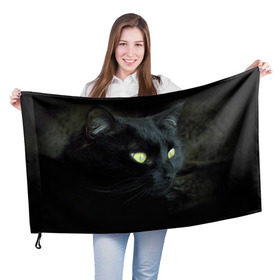 Флаг 3D с принтом Черный в Петрозаводске, 100% полиэстер | плотность ткани — 95 г/м2, размер — 67 х 109 см. Принт наносится с одной стороны | домашняя | животное | кот | котэ | кошка | черный