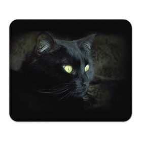 Коврик прямоугольный с принтом Черный в Петрозаводске, натуральный каучук | размер 230 х 185 мм; запечатка лицевой стороны | Тематика изображения на принте: домашняя | животное | кот | котэ | кошка | черный