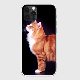 Чехол для iPhone 12 Pro Max с принтом Рыжий кот в Петрозаводске, Силикон |  | Тематика изображения на принте: домашняя | животное | кот | котэ | кошка | рыжая