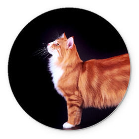 Коврик круглый с принтом Рыжий кот в Петрозаводске, резина и полиэстер | круглая форма, изображение наносится на всю лицевую часть | Тематика изображения на принте: домашняя | животное | кот | котэ | кошка | рыжая