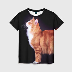 Женская футболка 3D с принтом Рыжий кот в Петрозаводске, 100% полиэфир ( синтетическое хлопкоподобное полотно) | прямой крой, круглый вырез горловины, длина до линии бедер | домашняя | животное | кот | котэ | кошка | рыжая