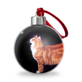 Ёлочный шар с принтом Рыжий кот в Петрозаводске, Пластик | Диаметр: 77 мм | Тематика изображения на принте: домашняя | животное | кот | котэ | кошка | рыжая