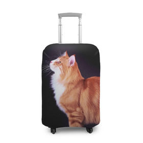 Чехол для чемодана 3D с принтом Рыжий кот в Петрозаводске, 86% полиэфир, 14% спандекс | двустороннее нанесение принта, прорези для ручек и колес | домашняя | животное | кот | котэ | кошка | рыжая