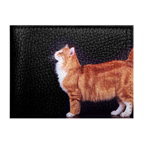Обложка для студенческого билета с принтом Рыжий кот в Петрозаводске, натуральная кожа | Размер: 11*8 см; Печать на всей внешней стороне | Тематика изображения на принте: домашняя | животное | кот | котэ | кошка | рыжая