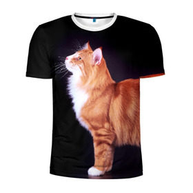 Мужская футболка 3D спортивная с принтом Рыжий кот в Петрозаводске, 100% полиэстер с улучшенными характеристиками | приталенный силуэт, круглая горловина, широкие плечи, сужается к линии бедра | домашняя | животное | кот | котэ | кошка | рыжая