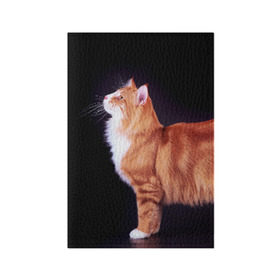 Обложка для паспорта матовая кожа с принтом Рыжий кот в Петрозаводске, натуральная матовая кожа | размер 19,3 х 13,7 см; прозрачные пластиковые крепления | Тематика изображения на принте: домашняя | животное | кот | котэ | кошка | рыжая