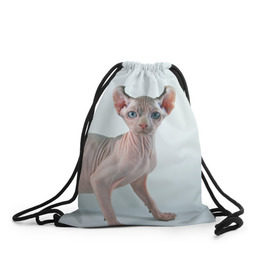 Рюкзак-мешок 3D с принтом Сфинкс в Петрозаводске, 100% полиэстер | плотность ткани — 200 г/м2, размер — 35 х 45 см; лямки — толстые шнурки, застежка на шнуровке, без карманов и подкладки | Тематика изображения на принте: домашняя | животное | кот | котэ | кошка | сфинкс