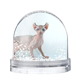 Снежный шар с принтом Сфинкс в Петрозаводске, Пластик | Изображение внутри шара печатается на глянцевой фотобумаге с двух сторон | домашняя | животное | кот | котэ | кошка | сфинкс