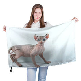 Флаг 3D с принтом Сфинкс в Петрозаводске, 100% полиэстер | плотность ткани — 95 г/м2, размер — 67 х 109 см. Принт наносится с одной стороны | домашняя | животное | кот | котэ | кошка | сфинкс