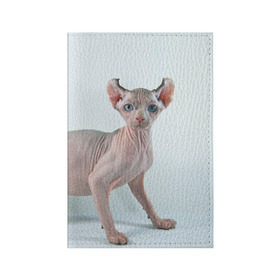 Обложка для паспорта матовая кожа с принтом Сфинкс в Петрозаводске, натуральная матовая кожа | размер 19,3 х 13,7 см; прозрачные пластиковые крепления | Тематика изображения на принте: домашняя | животное | кот | котэ | кошка | сфинкс