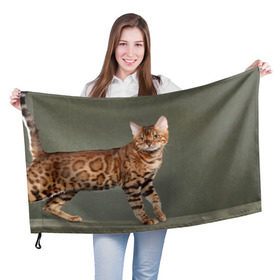 Флаг 3D с принтом Бенгальский кот в Петрозаводске, 100% полиэстер | плотность ткани — 95 г/м2, размер — 67 х 109 см. Принт наносится с одной стороны | бенгальский | домашняя | животное | кот | котэ | кошка