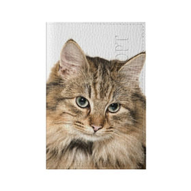 Обложка для паспорта матовая кожа с принтом Кот в Петрозаводске, натуральная матовая кожа | размер 19,3 х 13,7 см; прозрачные пластиковые крепления | Тематика изображения на принте: домашняя | животное | кот | котэ | кошка