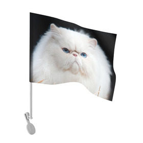 Флаг для автомобиля с принтом Персидский кот в Петрозаводске, 100% полиэстер | Размер: 30*21 см | Тематика изображения на принте: домашняя | животное | кот | котэ | кошка | персидский