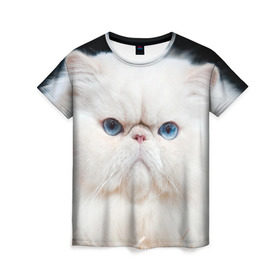 Женская футболка 3D с принтом Персидский кот в Петрозаводске, 100% полиэфир ( синтетическое хлопкоподобное полотно) | прямой крой, круглый вырез горловины, длина до линии бедер | домашняя | животное | кот | котэ | кошка | персидский