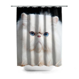 Штора 3D для ванной с принтом Персидский кот в Петрозаводске, 100% полиэстер | плотность материала — 100 г/м2. Стандартный размер — 146 см х 180 см. По верхнему краю — пластиковые люверсы для креплений. В комплекте 10 пластиковых колец | Тематика изображения на принте: домашняя | животное | кот | котэ | кошка | персидский