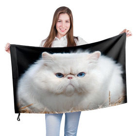 Флаг 3D с принтом Персидский кот в Петрозаводске, 100% полиэстер | плотность ткани — 95 г/м2, размер — 67 х 109 см. Принт наносится с одной стороны | домашняя | животное | кот | котэ | кошка | персидский