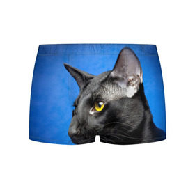 Мужские трусы 3D с принтом Черный кот в Петрозаводске, 50% хлопок, 50% полиэстер | классическая посадка, на поясе мягкая тканевая резинка | домашняя | животное | кот | котэ | кошка | черный