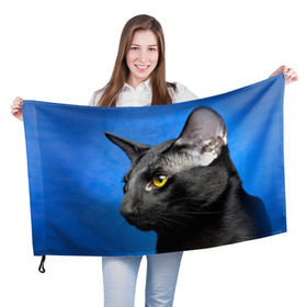 Флаг 3D с принтом Черный кот в Петрозаводске, 100% полиэстер | плотность ткани — 95 г/м2, размер — 67 х 109 см. Принт наносится с одной стороны | домашняя | животное | кот | котэ | кошка | черный