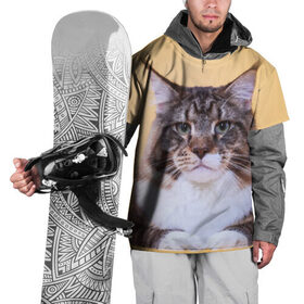 Накидка на куртку 3D с принтом Байкун в Петрозаводске, 100% полиэстер |  | Тематика изображения на принте: байкун | домашняя | животное | кот | котэ | кошка