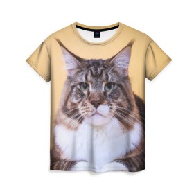 Женская футболка 3D с принтом Байкун в Петрозаводске, 100% полиэфир ( синтетическое хлопкоподобное полотно) | прямой крой, круглый вырез горловины, длина до линии бедер | байкун | домашняя | животное | кот | котэ | кошка