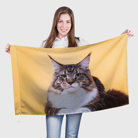 Флаг 3D с принтом Байкун в Петрозаводске, 100% полиэстер | плотность ткани — 95 г/м2, размер — 67 х 109 см. Принт наносится с одной стороны | байкун | домашняя | животное | кот | котэ | кошка