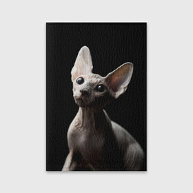 Обложка для паспорта матовая кожа с принтом Сфинкс в Петрозаводске, натуральная матовая кожа | размер 19,3 х 13,7 см; прозрачные пластиковые крепления | домашняя | животное | кот | котэ | кошка | сфинкс