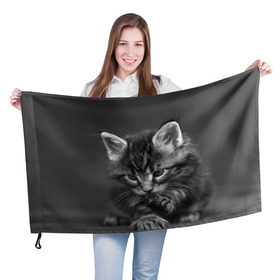 Флаг 3D с принтом Котенок в Петрозаводске, 100% полиэстер | плотность ткани — 95 г/м2, размер — 67 х 109 см. Принт наносится с одной стороны | домашняя | животное | кот | котэ | кошка