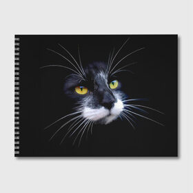 Альбом для рисования с принтом Кот в Петрозаводске, 100% бумага
 | матовая бумага, плотность 200 мг. | домашняя | животное | кот | котэ | кошка