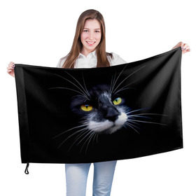 Флаг 3D с принтом Кот в Петрозаводске, 100% полиэстер | плотность ткани — 95 г/м2, размер — 67 х 109 см. Принт наносится с одной стороны | домашняя | животное | кот | котэ | кошка