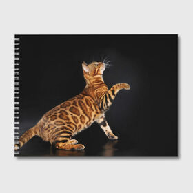 Альбом для рисования с принтом Бенгальская кошка в Петрозаводске, 100% бумага
 | матовая бумага, плотность 200 мг. | бенгальская | домашняя | животное | кот | котэ | кошка