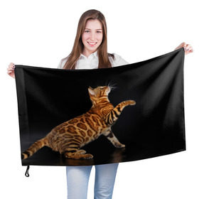 Флаг 3D с принтом Бенгальская кошка в Петрозаводске, 100% полиэстер | плотность ткани — 95 г/м2, размер — 67 х 109 см. Принт наносится с одной стороны | бенгальская | домашняя | животное | кот | котэ | кошка