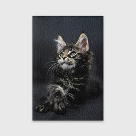 Обложка для паспорта матовая кожа с принтом Кот в Петрозаводске, натуральная матовая кожа | размер 19,3 х 13,7 см; прозрачные пластиковые крепления | Тематика изображения на принте: домашняя | животное | кот | котэ | кошка