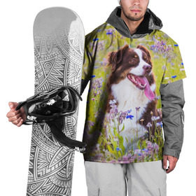 Накидка на куртку 3D с принтом Австралийская овчарка в Петрозаводске, 100% полиэстер |  | Тематика изображения на принте: австралийская овчарка | животное | порода | собака | ц