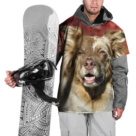Накидка на куртку 3D с принтом Австралийская овчарка в Петрозаводске, 100% полиэстер |  | Тематика изображения на принте: австралийская овчарка | животное | порода | собака