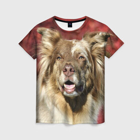 Женская футболка 3D с принтом Австралийская овчарка в Петрозаводске, 100% полиэфир ( синтетическое хлопкоподобное полотно) | прямой крой, круглый вырез горловины, длина до линии бедер | австралийская овчарка | животное | порода | собака