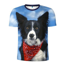 Мужская футболка 3D спортивная с принтом Бордер-колли в Петрозаводске, 100% полиэстер с улучшенными характеристиками | приталенный силуэт, круглая горловина, широкие плечи, сужается к линии бедра | Тематика изображения на принте: бордер колли | животное | порода | собака