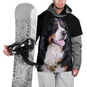 Накидка на куртку 3D с принтом Бернский зенненхунд в Петрозаводске, 100% полиэстер |  | бернский зенненхунд | животное | порода | собака