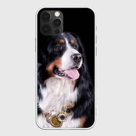 Чехол для iPhone 12 Pro Max с принтом Бернский зенненхунд в Петрозаводске, Силикон |  | Тематика изображения на принте: бернский зенненхунд | животное | порода | собака