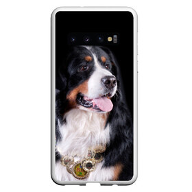 Чехол для Samsung Galaxy S10 с принтом Бернский зенненхунд в Петрозаводске, Силикон | Область печати: задняя сторона чехла, без боковых панелей | Тематика изображения на принте: бернский зенненхунд | животное | порода | собака