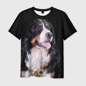 Мужская футболка 3D с принтом Бернский зенненхунд в Петрозаводске, 100% полиэфир | прямой крой, круглый вырез горловины, длина до линии бедер | Тематика изображения на принте: бернский зенненхунд | животное | порода | собака