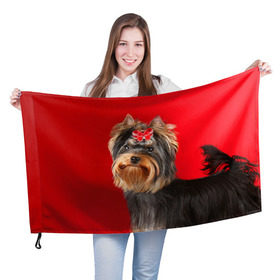 Флаг 3D с принтом Йоркширский терьер в Петрозаводске, 100% полиэстер | плотность ткани — 95 г/м2, размер — 67 х 109 см. Принт наносится с одной стороны | животное | йоркширский терьер | порода | собака