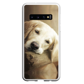Чехол для Samsung Galaxy S10 с принтом Золотистый ретривер в Петрозаводске, Силикон | Область печати: задняя сторона чехла, без боковых панелей | животное | золотистый ретривер | порода | собака