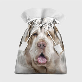 Подарочный 3D мешок с принтом Кламбер-спаниель в Петрозаводске, 100% полиэстер | Размер: 29*39 см | Тематика изображения на принте: животное | кламбер спаниель | порода | собака